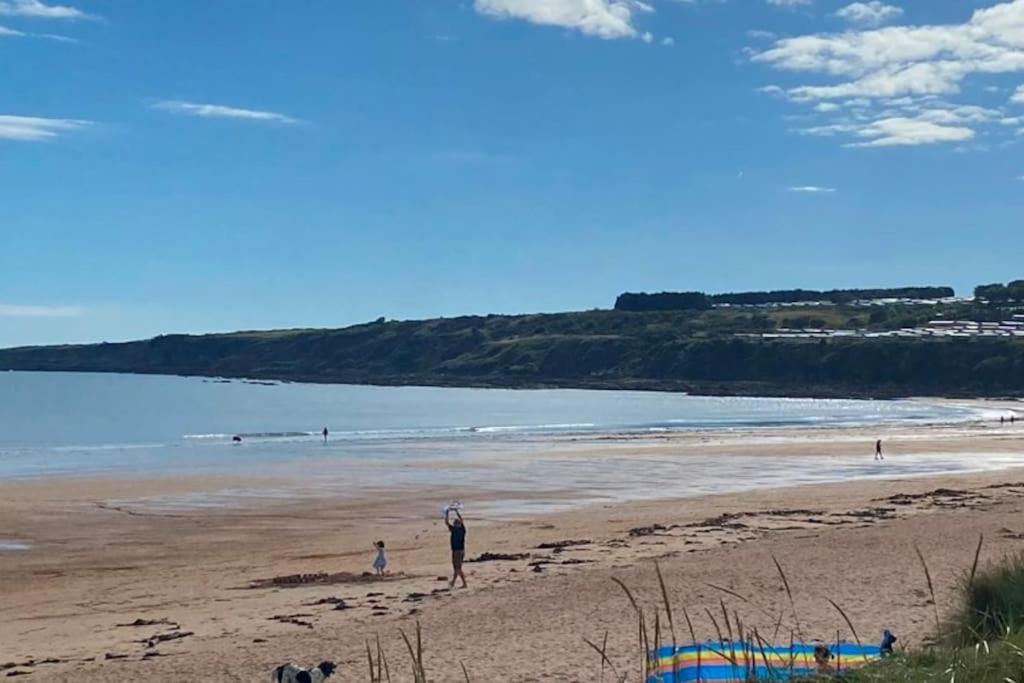 Lovely House & Garden, Short Walk To Town & Beach. St Andrews Exterior foto